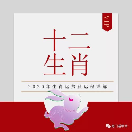 2020鼠年生肖属兔人的贵人运旺不旺,如何提升贵人运