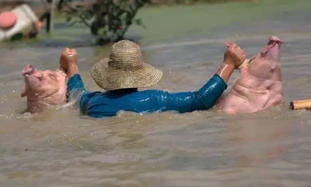 梦见发洪水淹死人了