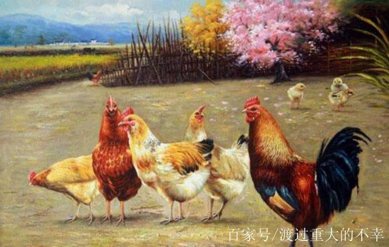 2017年不能不知的生肖鸡人详细的属相婚配解析!
