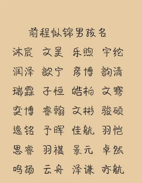勇气非凡的男孩名字