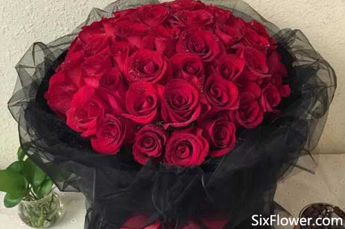 55朵玫瑰的花语是什么?55朵玫瑰有着什么样的意义呢?