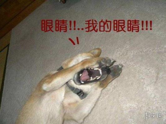 不能让我一个人瞎!属蛇觉得辣眼睛的瞬间
