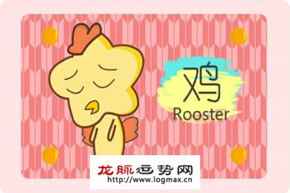 属鸡最不想谈的老调是什么