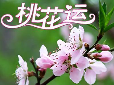 2023年4月肖兔人的桃花运好不好