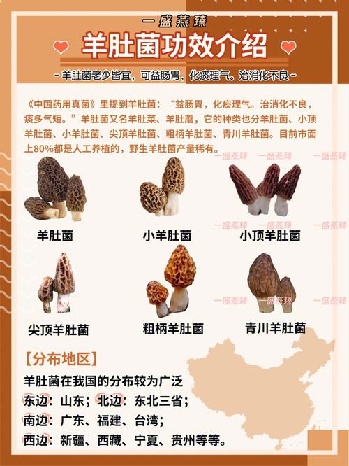菌类成立公司取名字