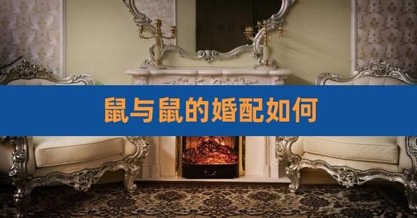 鼠和鼠婚配如何