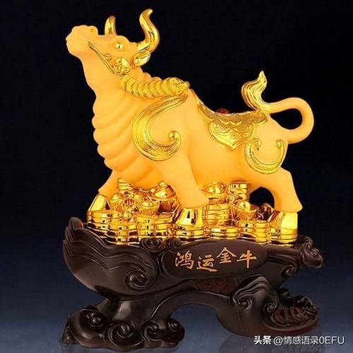 人生贵人数不尽,生活顺风顺水的生肖
