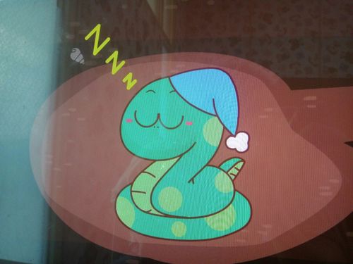 梦见小蛇在冬眠是什么意思