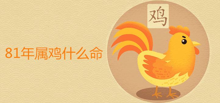 属鸡会在人生哪个阶段遭遇财政危机