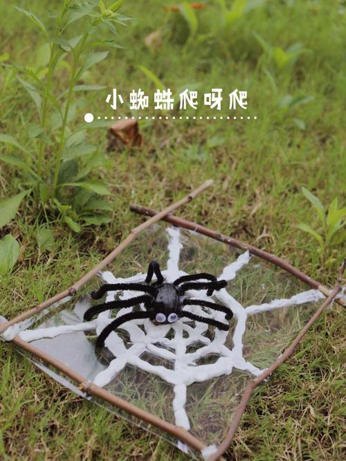 梦见蜘蛛和蜘蛛网是什么意思
