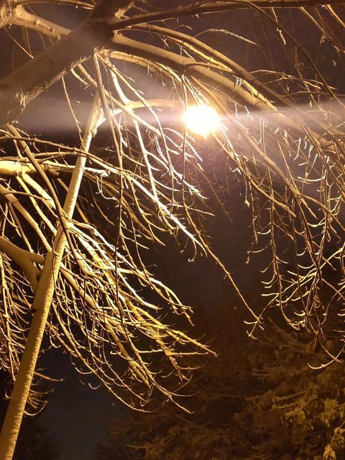 女人梦见黑天下雪