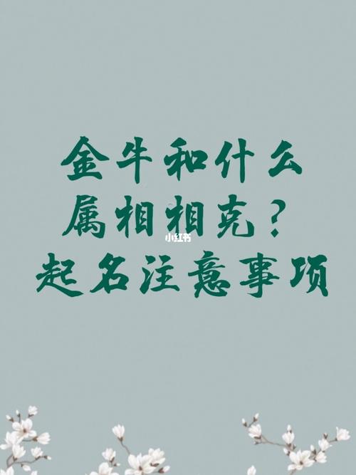 属牛会在人生哪个阶段有所突破