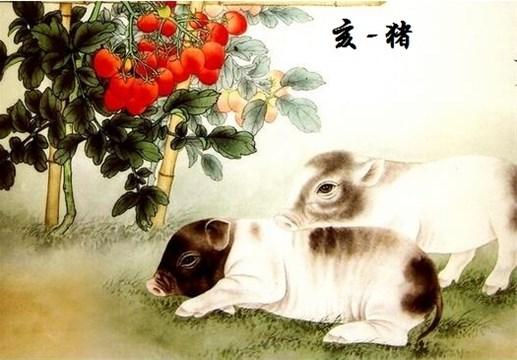 哪些生肖情侣配对会有霉运