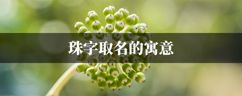 珠字起名配什么字好