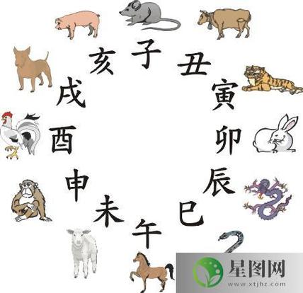 生肖鼠立夏之后运势走向