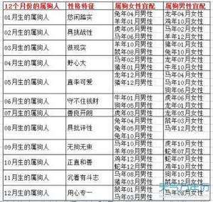 属龙怎么应对长辈介绍对象
