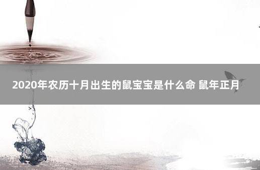 鼠年适合生宝宝吗,鼠年出生的宝宝什么命