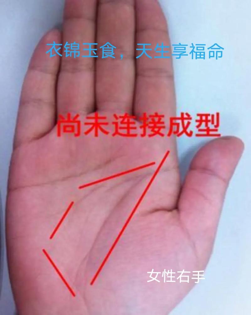 女人手相怎么算好