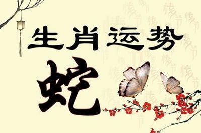 属蛇2023年生肖运势完整版