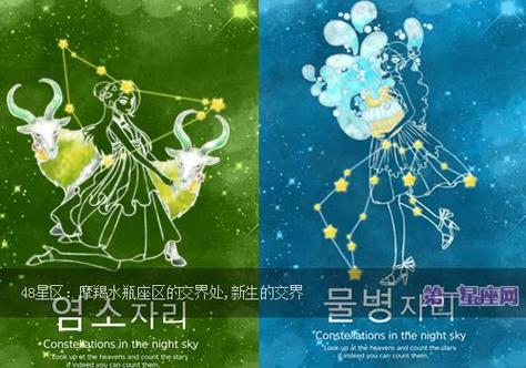 水瓶座的上升星座是摩羯座