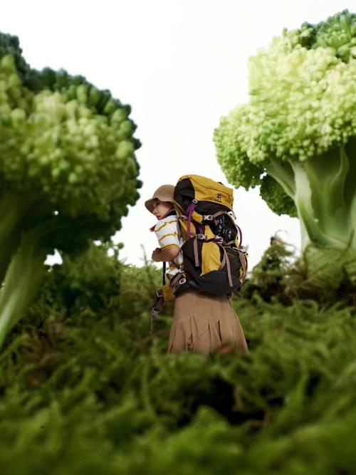 梦见买菜花