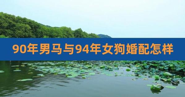 90属马女94属狗男婚配好吗