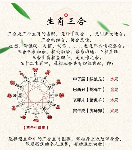属猪的六个合贵人都是谁