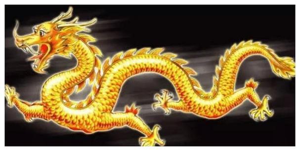2022年属龙禁忌颜色是什么
