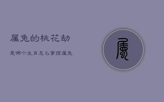 兔的桃花劫是什么生肖