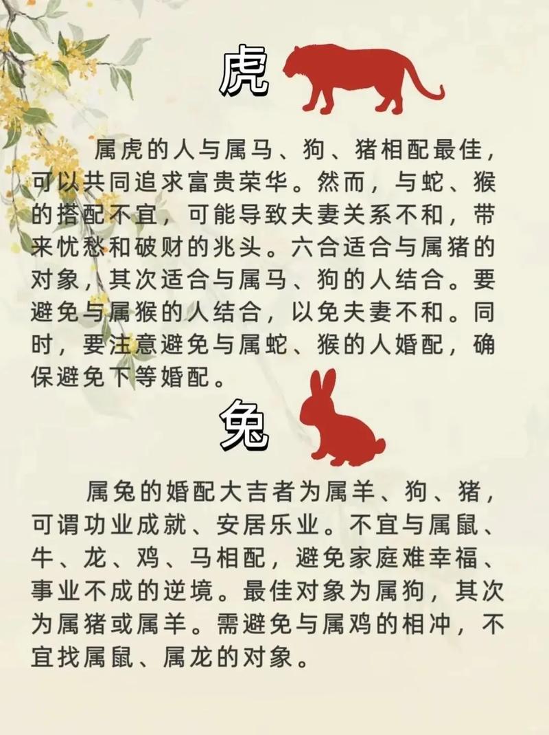 鼠与什么属相相配最好