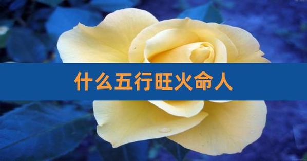 几月的炉中火最旺
