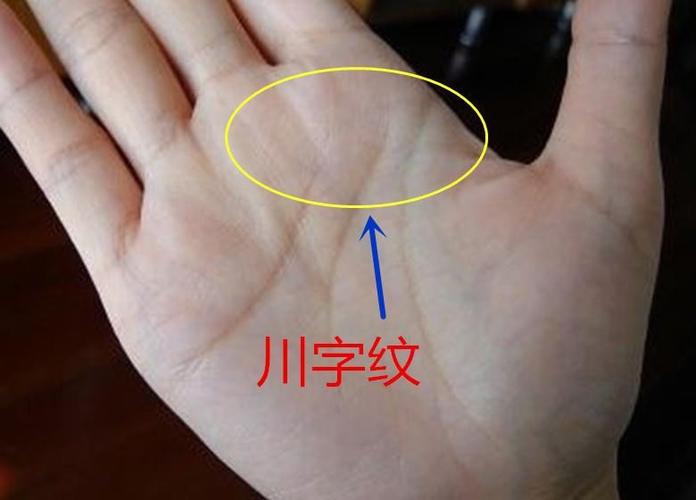 生命线手相断掌