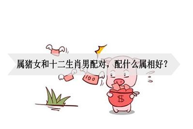 属猪恋爱前,恋爱后有哪些变化