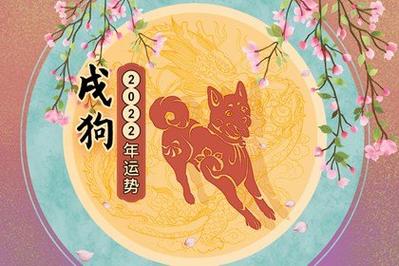 属狗的如何增加偏财运,这三种方法亲测有效