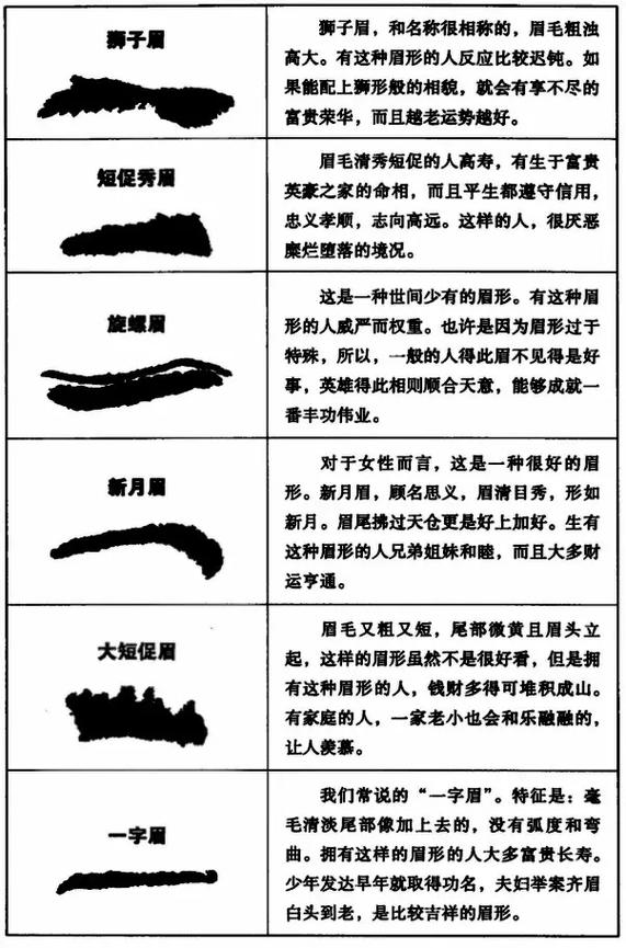 相术中的眉毛分析