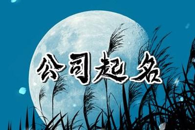 吉祥有财气的电子公司名字