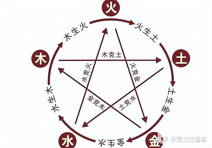 龙年生人的五行是什么