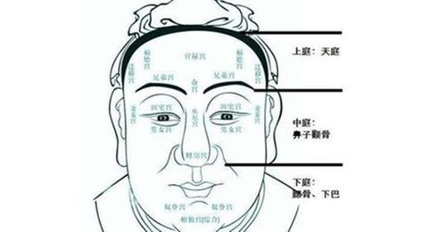 什么面相的人有官相
