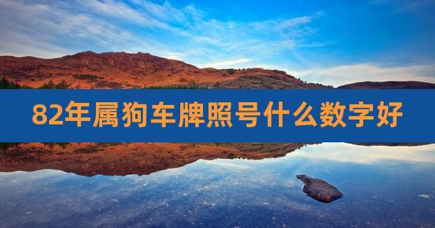 属狗人选车牌什么号码好