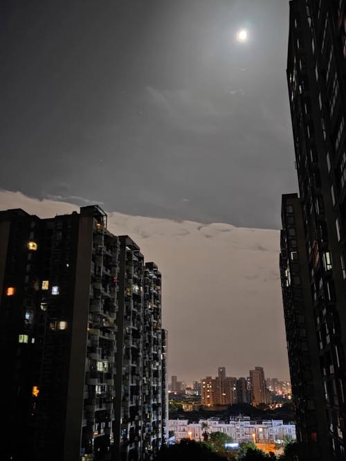 梦见月夜是什么意思