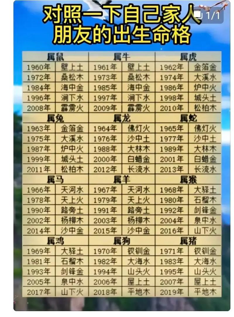 八字金木水火土查询表