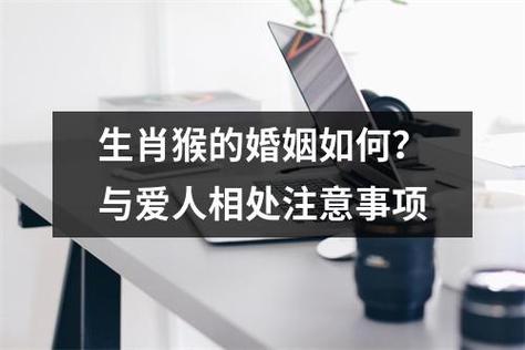 与属猴男交往要注意的