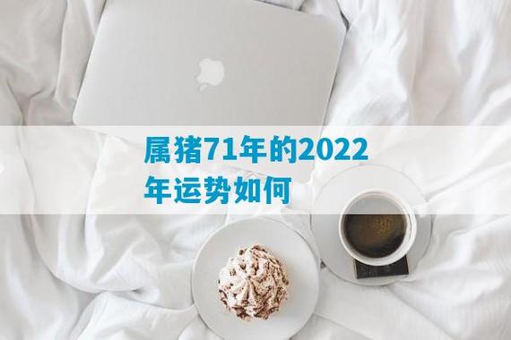 71年属猪在2022年怎么样