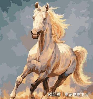 属马2022运势 财运上涨迎来升职加薪的机会