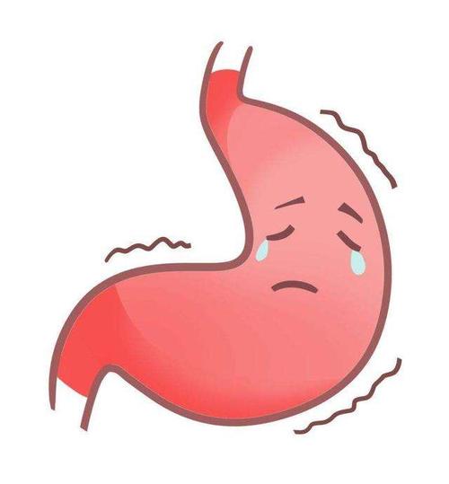 梦见胃 胃痛是什么意思