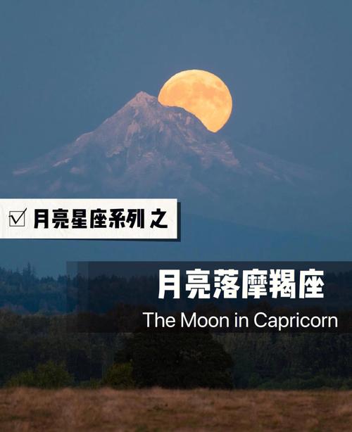 月亮摩羯座和12星座配对