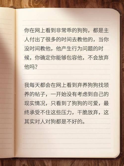 属狗男当选班长是通过什么途径