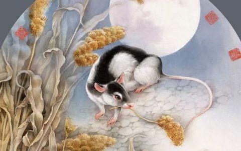 1996年的鼠什么时候出生最好