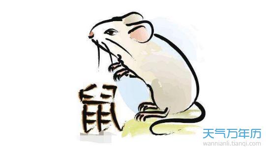 属鼠的不喜欢迁就人