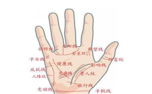 什么样的手相能当官,怎么看手相有没有官运?